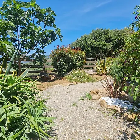 Vila Mini Climatisee Vue Wifi Avec Piscine Chauffee De Avriloctobre Sollacaro