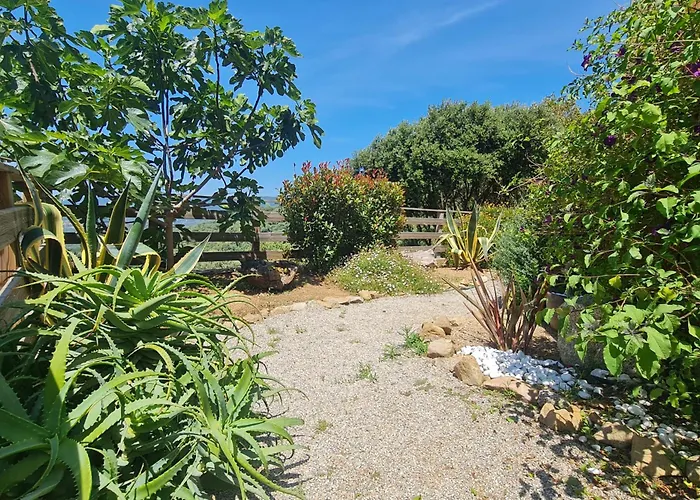 Villa Mini Climatisee Vue Wifi Avec Piscine Chauffee De Avriloctobre Sollacaro
