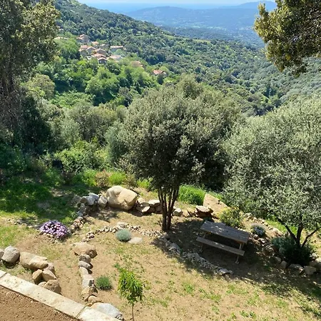 Mini Climatisee Vue Wifi Avec Piscine Chauffee De Avriloctobre Vila Sollacaro