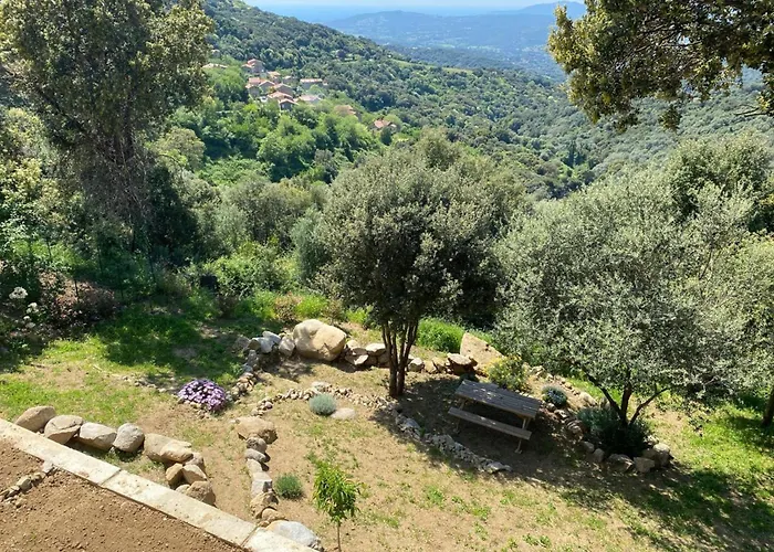Mini Climatisee Vue Wifi Avec Piscine Chauffee De Avriloctobre Villa Sollacaro